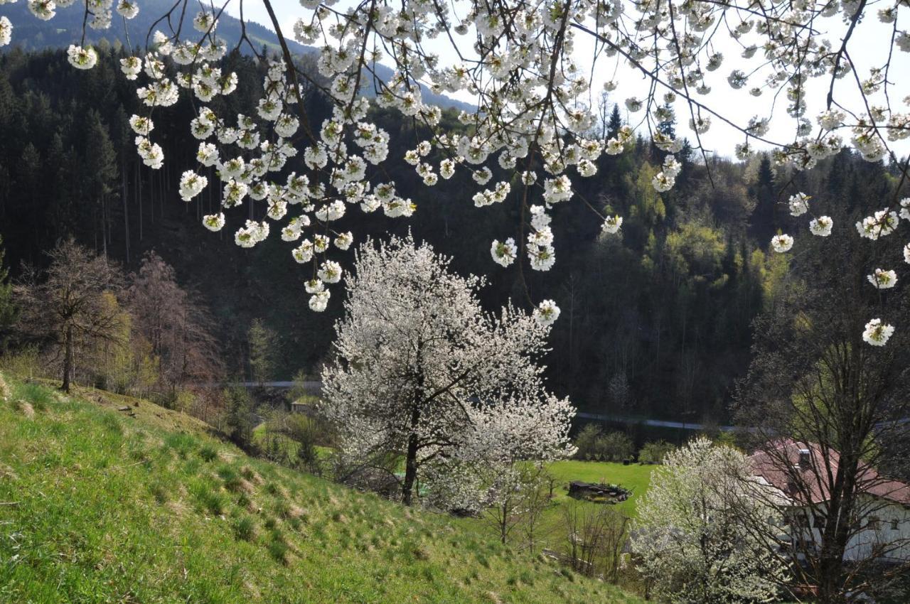 Gaestehaus Pension Edelweiss Kolsass Room photo